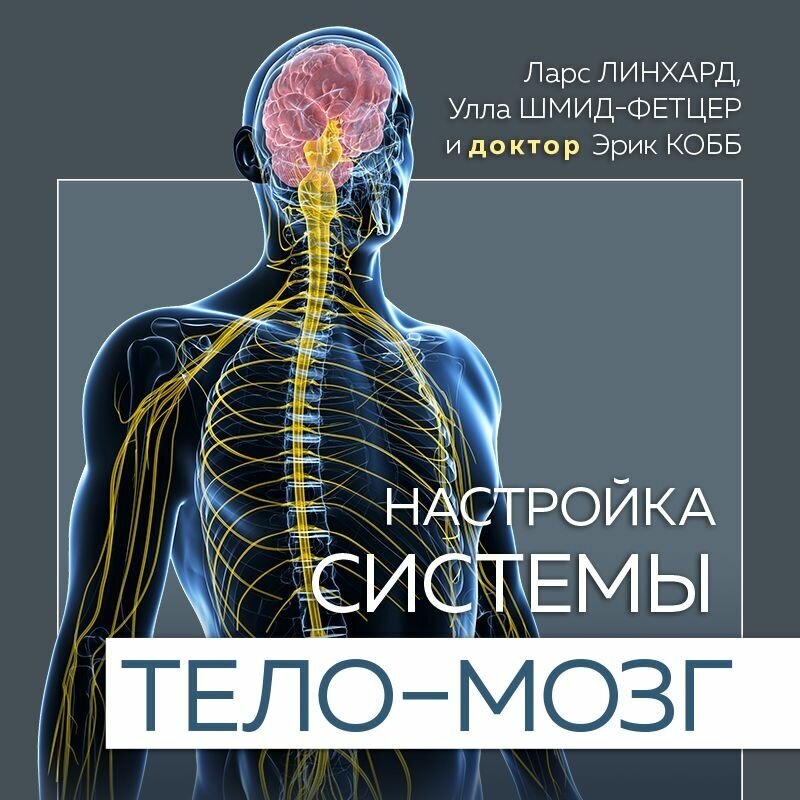 Настройка системы тело — мозг Простые упражнения для активации блуждающего нерва