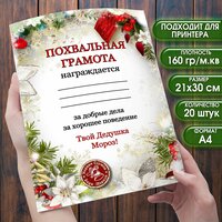 Грамота Похвальная. Письмо Деда Мороза. Новый год. Набор 20 штук. Размер 21х30 см. (формат А4)Школа или детский сад.