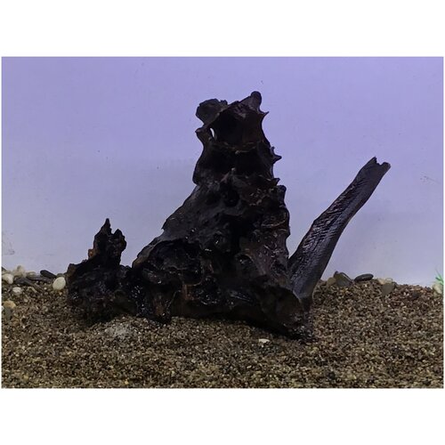 Декор аквариумные коряга коралловое дерево 20-40 см лот 002 коряга натуральная сакура desert driftwood xxl