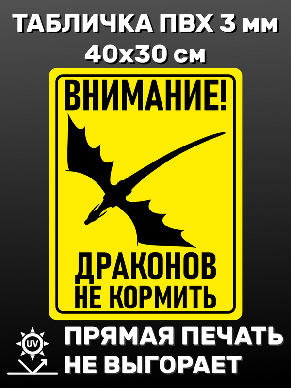 Табличка информационная "Внимание драконы" 40х30 см