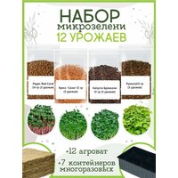 Набор для выращивания Микрозелени, 12 урожаев.