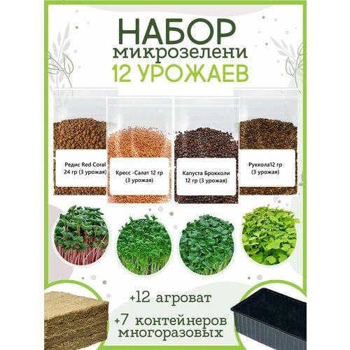 Набор для выращивания Микрозелени, 12 урожаев. набор для выращивания микрозелени 12 урожаев plant republic