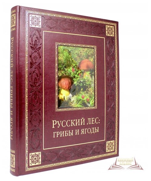 Русский лес. Грибы и ягоды (Бутромеев В. П.) - фото №1