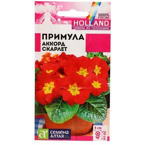 Семена цветов Примула Аккорд, скарлет 5 шт 4 упаковки