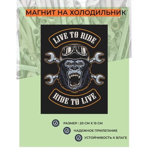 Магнит на холодильник (20 см х 15 см) Жизнь в пути Путь в жизни! Подарок для байкера мотоциклиста Декор интерьера №13