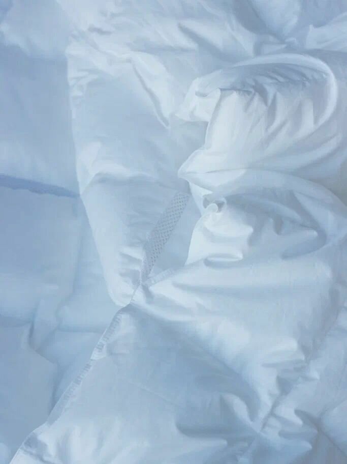 Одеяло 2- спальное SwanLake в тике, 205х172 см, зимнее, с наполнителем микроволокно, самсон - фотография № 2