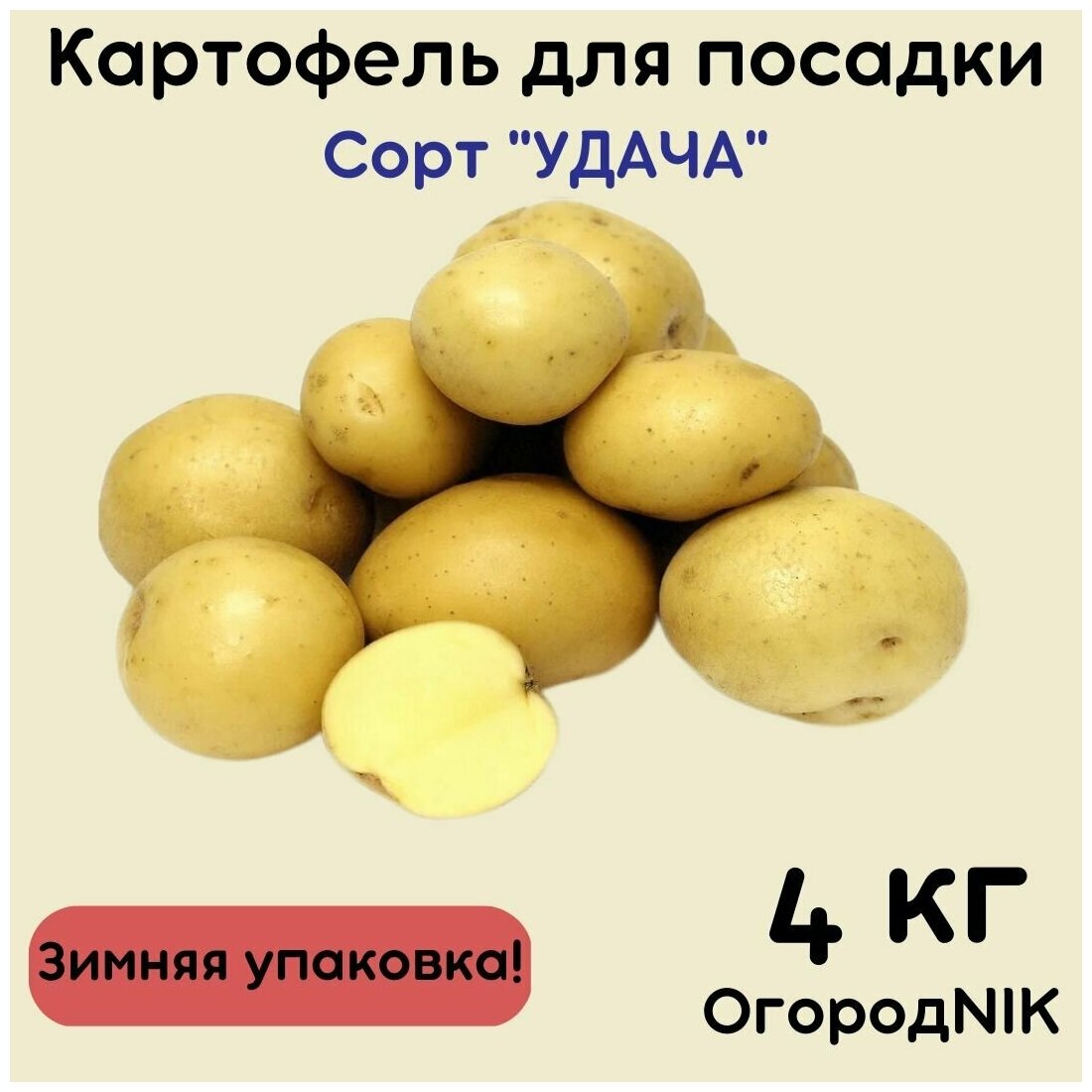 Картофель семенной "Удача" - фотография № 1