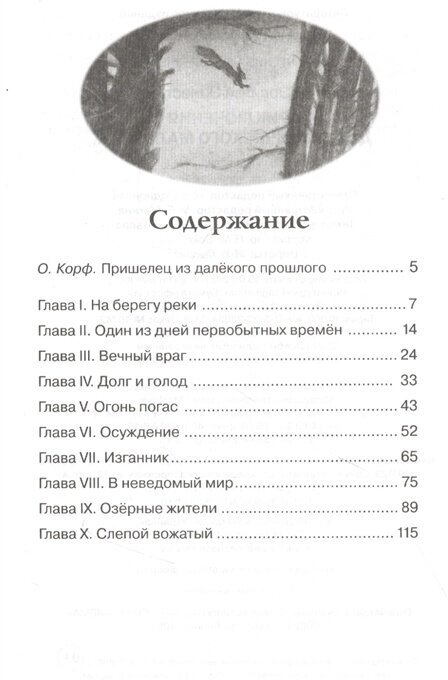 Приключения доисторического мальчика - фото №9
