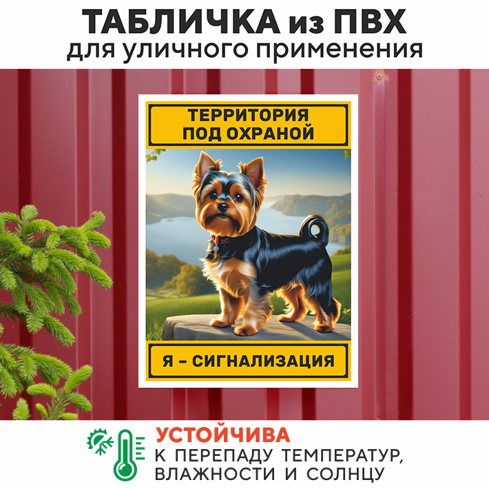 Табличка "Территория под охраной, Я - сигнализация", Йоркширский терьер, 27х20 см, ПВХ — фото 1