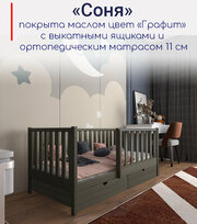 Кровать детская "Соня", спальное место 160х80, в комплекте с выкатными ящиками и ортопедическим матрасом, масло "Графит", из массива
