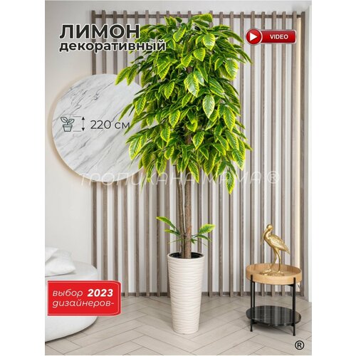 Искусственное лимонное дерево в кашпо