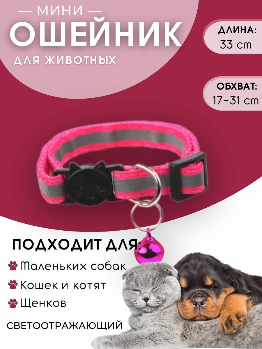 фото Ошейник с колокольчиком светоотражающий для собак и кошек