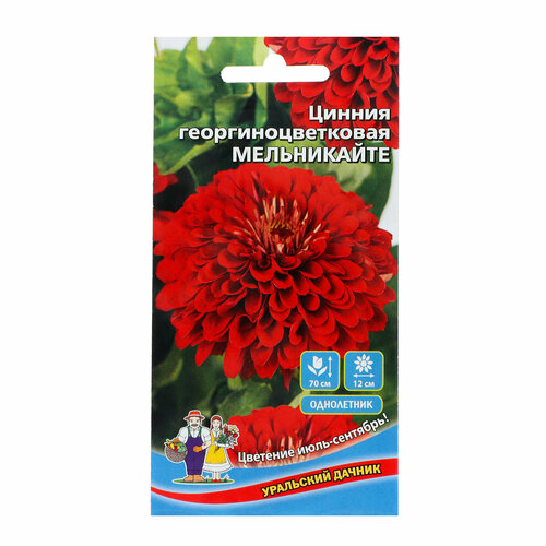 Семена Цветов Цинния георгиноцветковая 
