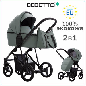 Детская коляска 2 в 1 Bebetto Flavio PRO 09_CZM