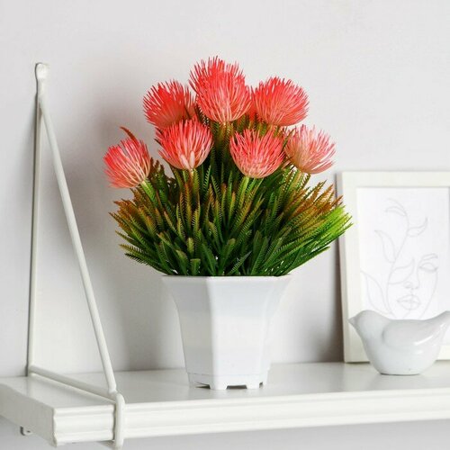 SUI Бонсай в горшке Астра галант 11х23 см микс 1008₽