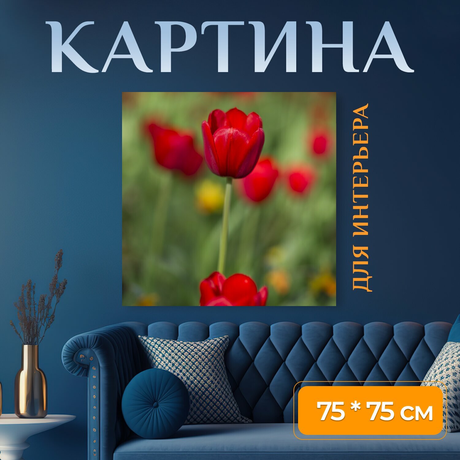 Картина на холсте "Тюльпан, красный, цветок" на подрамнике 75х75 см. для интерьера