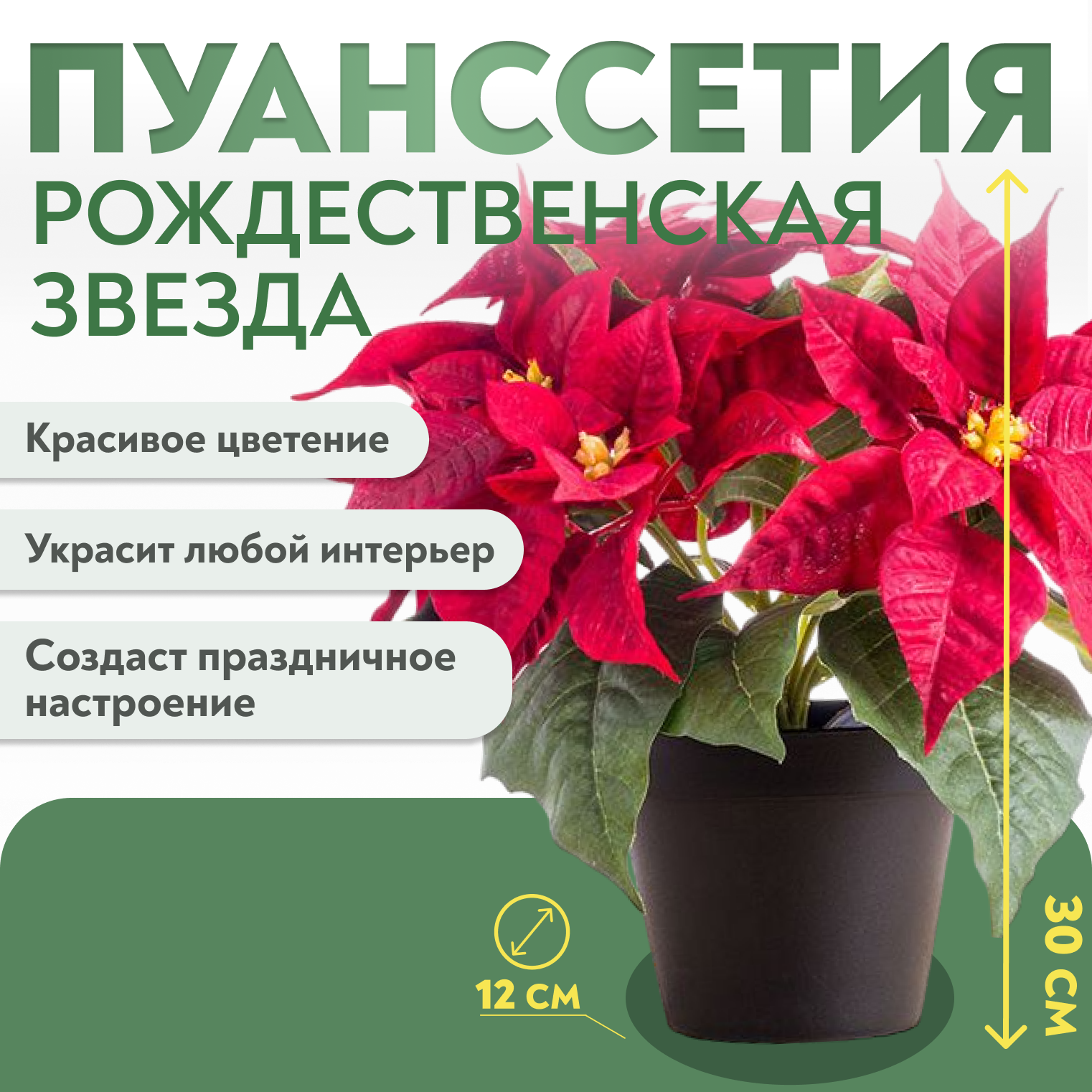 Рождественская звезда (Пуансеттия) (25 см)