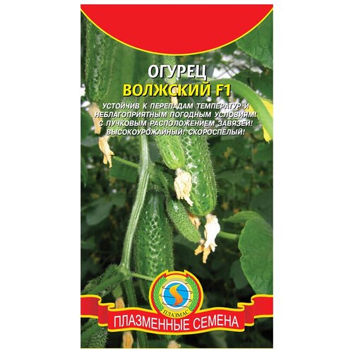 Огурец Волжский F1