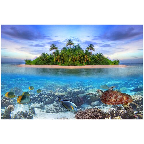 Фотообои Уютная стена Морская жизнь у тропического острова 410х270 см Бесшовные Премиум (единым полотном)