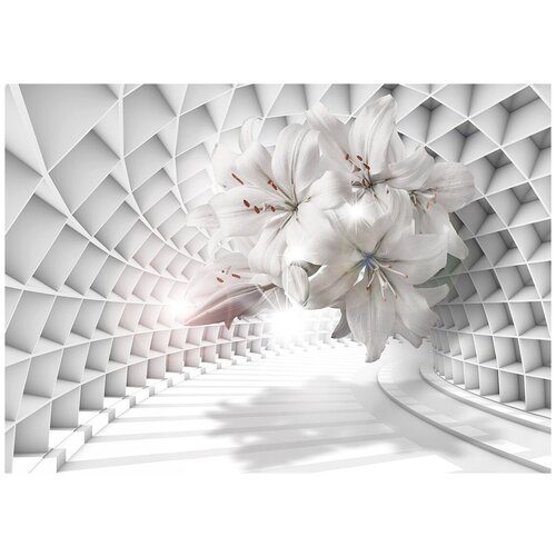 Лилии и тоннель 3D - Виниловые фотообои, (211х150 см)