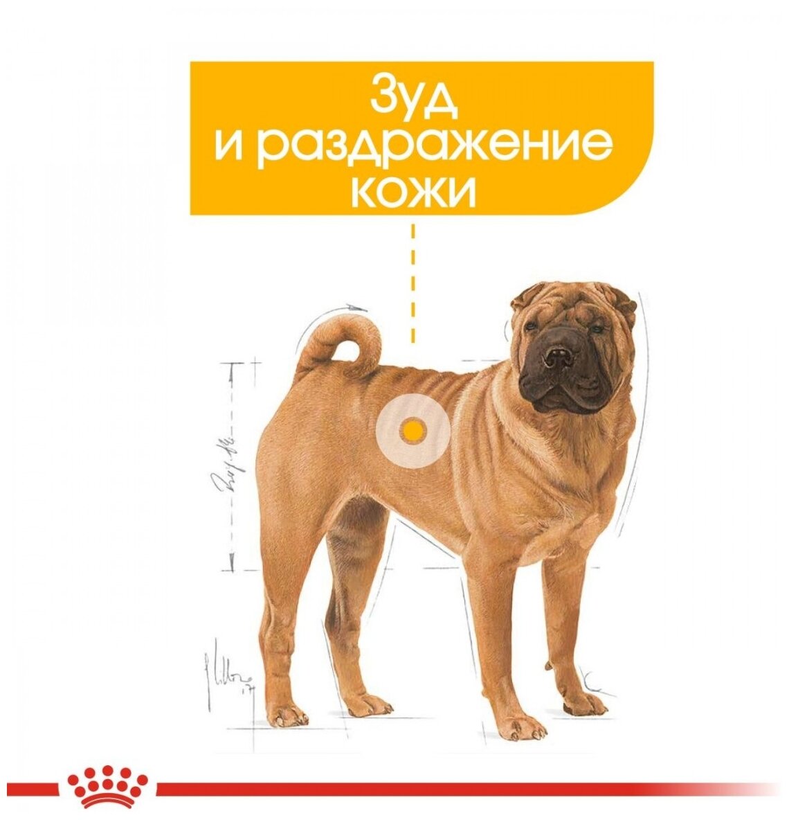 Royal Canin / Сухой корм Роял Канин Медиум Дермакомфорт для собак Средних пород с Кожным раздражением и зудом - фото №12