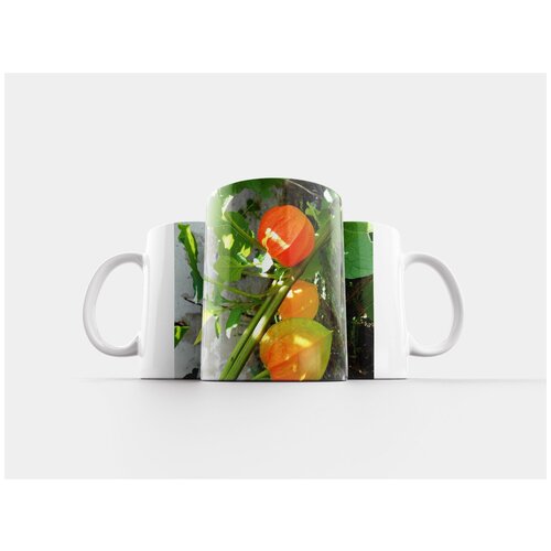 фото Кружка "лампион цветок, цветок, декоративное растение" 320 мл lotsprints