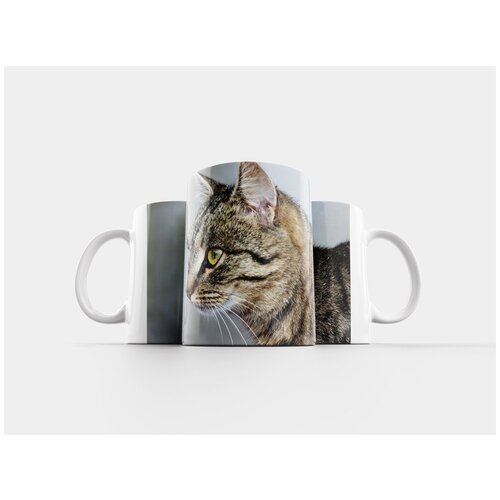фото Кружка "кошка, шерсть, природа" 320 мл lotsprints
