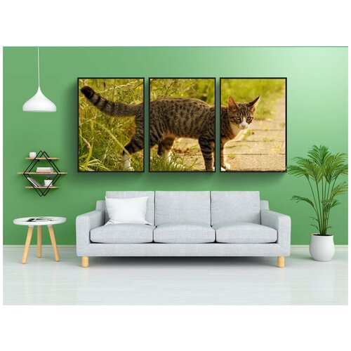 фото Набор модулных постеров для интерьера "полосатый кот, скумбрия, животное" 60x90 см. в тубусе, без рамки lotsprints