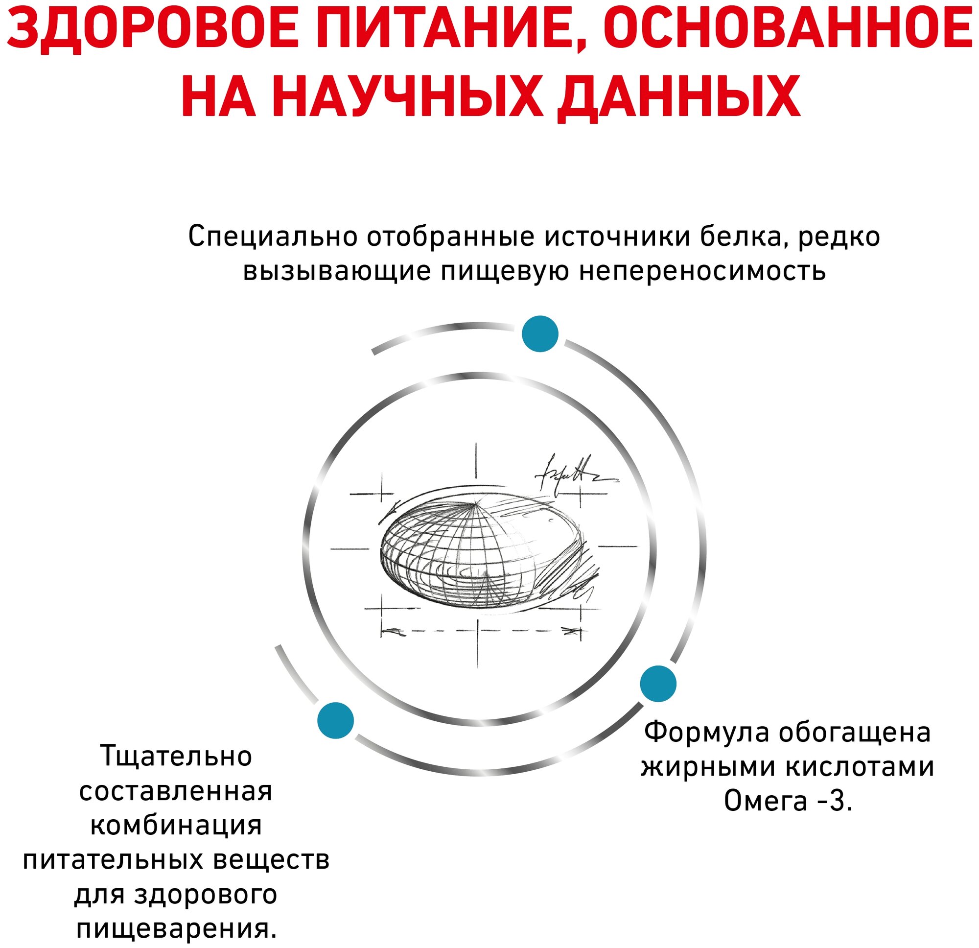 Сухой корм для кошек Royal Canin Sensitivity Control, при пищевой аллергии, с уткой 400 г - фотография № 8