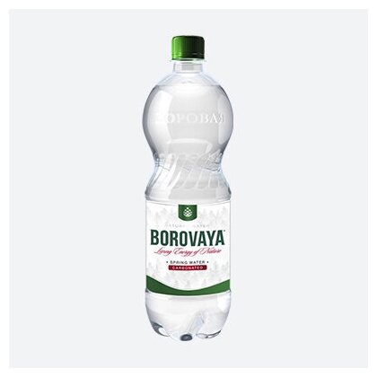 Вода минеральная BOROVAYA (Боровая), лечебно-столовая питьевая сульфатно-кальциевая газированная/ для похудения, пэт 1л х 6 шт - фотография № 7