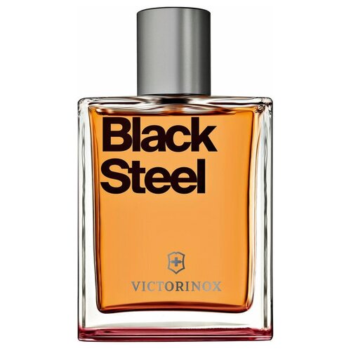 Victorinox Black Steel Eau De Toilette 100мл