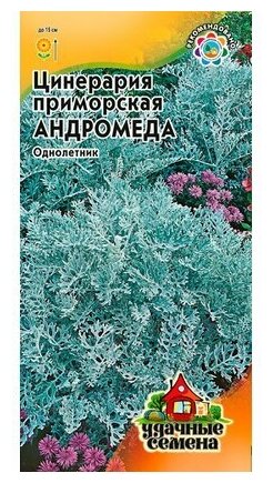 Семена Цинерарии Андромеда приморская 0,1г семян + подарок