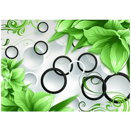 Белые и черные кольца на зеленом 3D - Виниловые фотообои, (211х150 см)