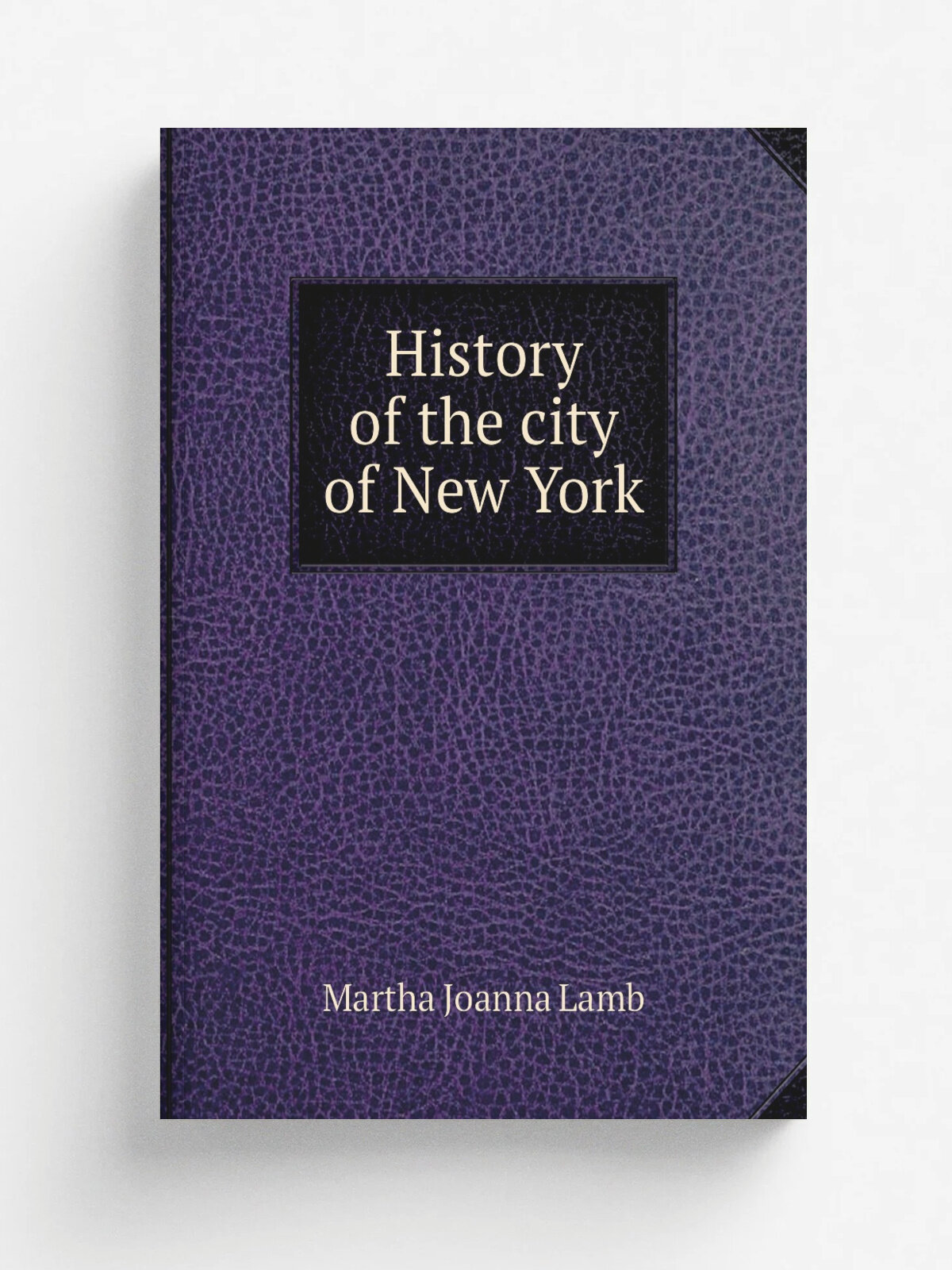 History of the city of New York | Martha Joanna Lamb | 1896 | New York : A. S. Barnes and company | Репринт