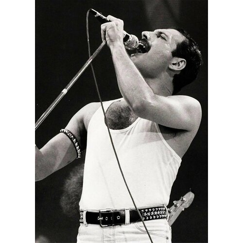 Плакат Фредди Меркьюри