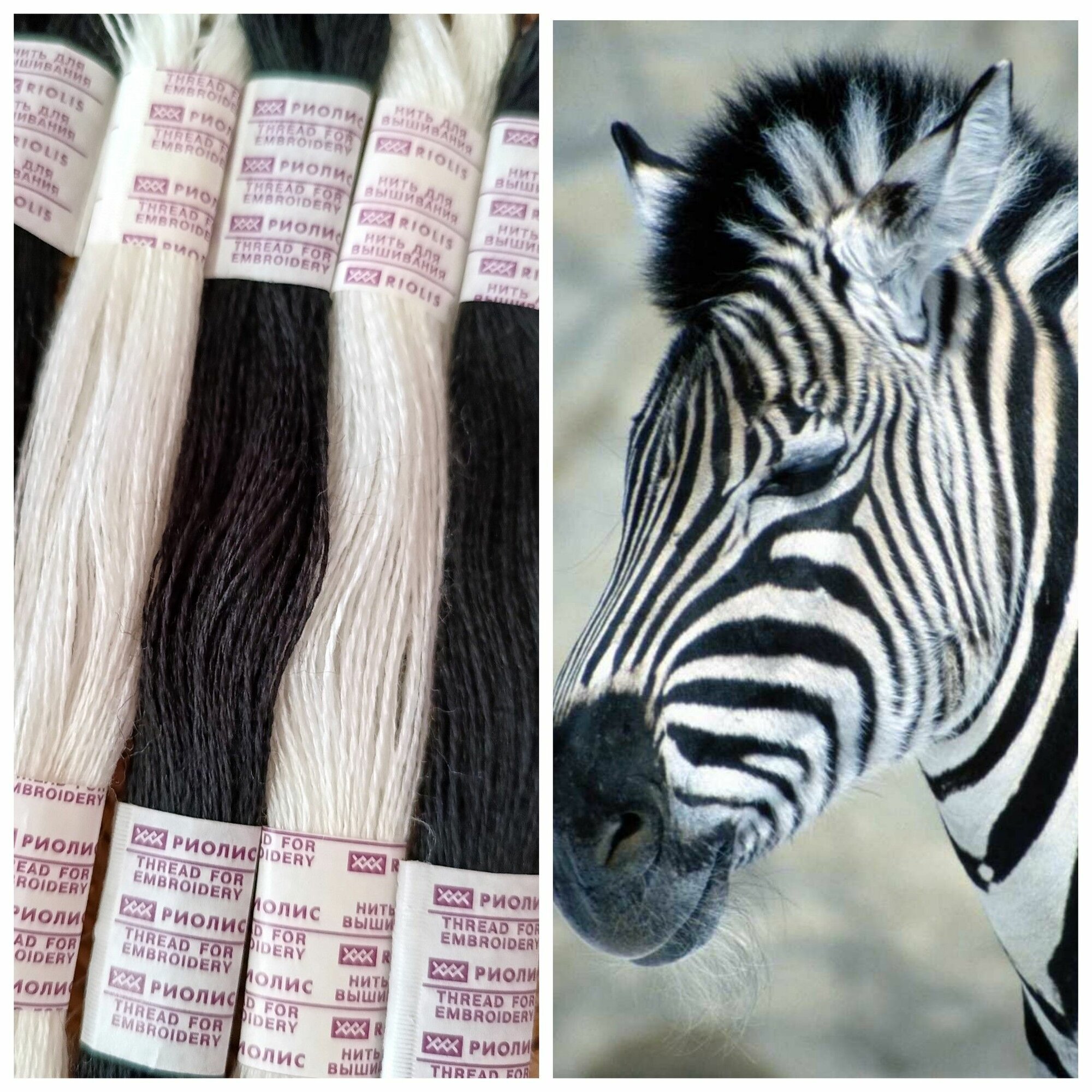 Нитки мулине для вышивания шерсть/акрил Риолис набор 5шт Зебра — фото 1