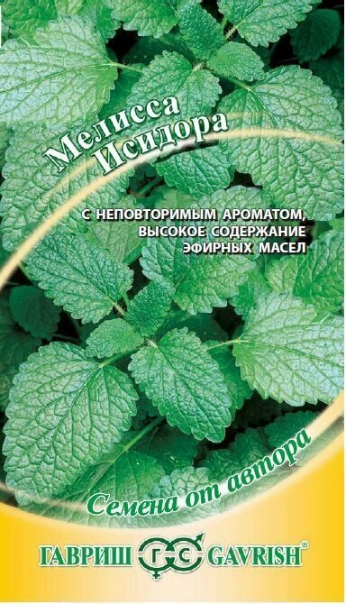 Мелисса лекарственная Исидора*