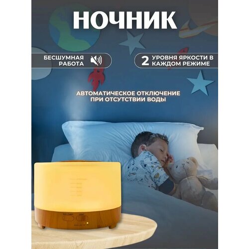 Увлажнитель воздуха для дома 100000₽