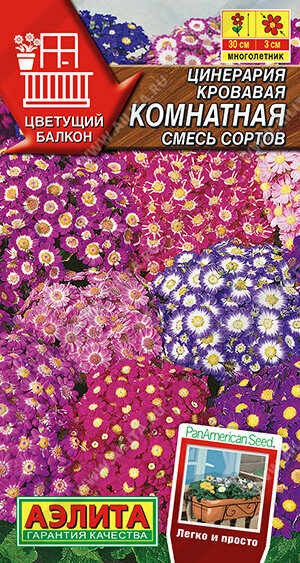 Цинерария Комнатная 30шт Мн смесь 30см (Аэлита)