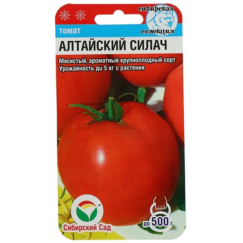 Семена Томат Алтайский силач, среднеспелый, 20 шт семена томат алтайский силач среднеспелый 20 шт 10 упаковок
