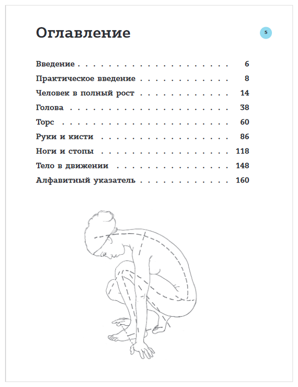 Анатомия для художников. Практический курс - фото №4