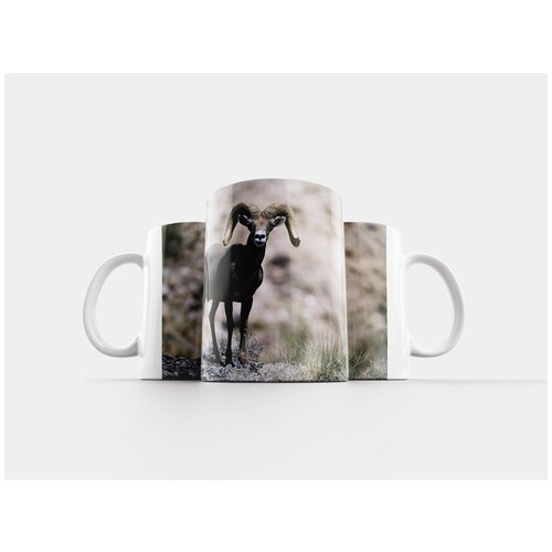 фото Кружка "женский пол, овец, большой рог" 320 мл lotsprints