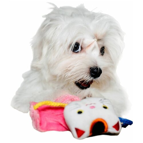 Игрушка для собак Japan Premium Pet в виде талисмана Манэки-нэко, приносящей богатство с функцией ухода за зубами