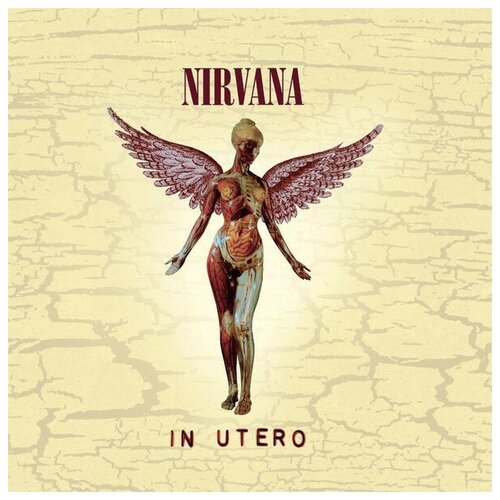 AUDIO CD Nirvana: In Utero (20th Anniversary Remaster) (1 CD) audio cd in flames clayman 20th anniversary edition cd