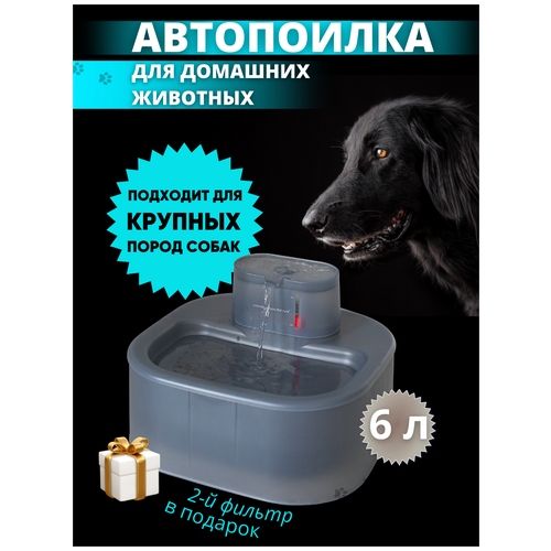 Автопоилка фонтан для кошек и собак / Автоматическая поилка для животных 6 л