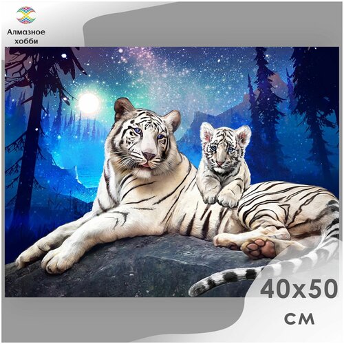 Алмазная мозаика, Картина стразами, Алмазное хобби Тигры в ночи 40х50 без подрамника