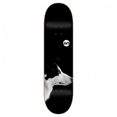 фото Дека скейтборд jart friends black lc deck 2021