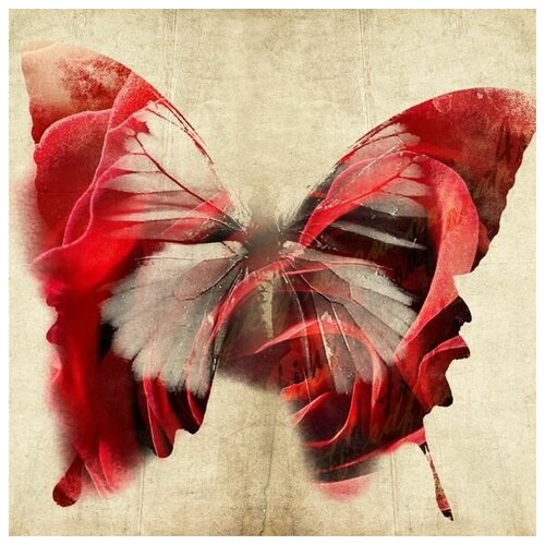 Постер на холсте Бабочка (Butterfly) №16 60см. x 60см.