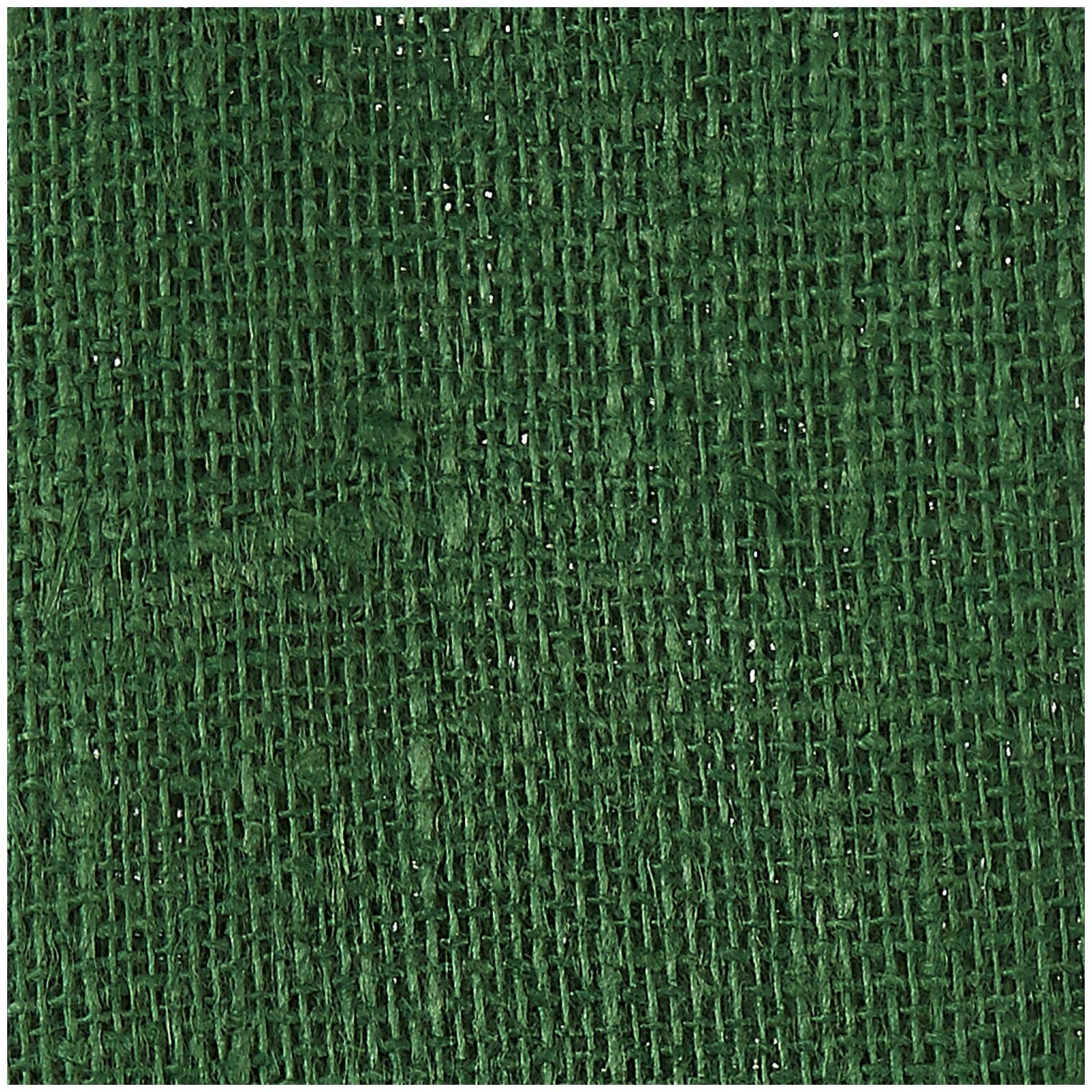 ЛЕН. декоративная ткань. Светло-зеленый 48х48 см, Арт. 2-650/13