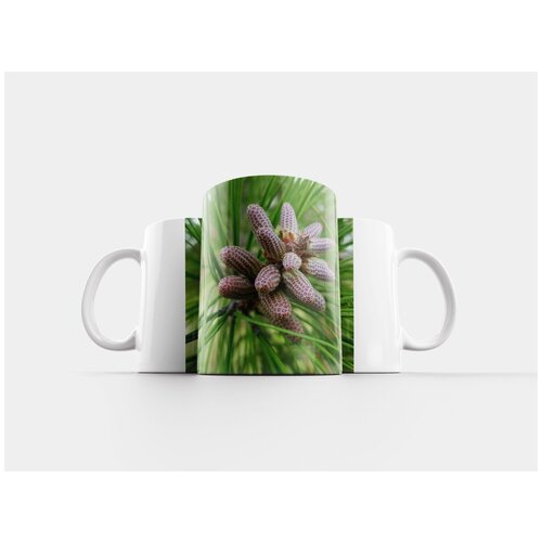 фото Кружка "сосновая хвоя, сосновые шишки, сосна" 320 мл lotsprints